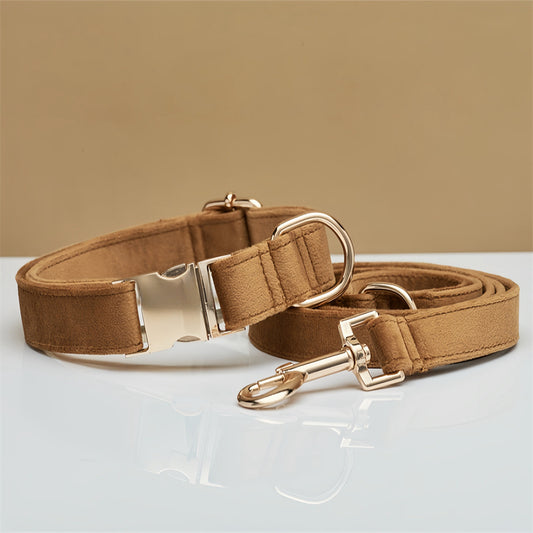 Velvet dog collar and leash set with a removable bow and gold hardware