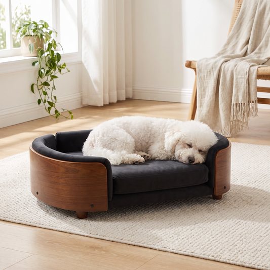 Nordic walnut dog sofa in black velvet with a fluffy white dog asleep on the cushion