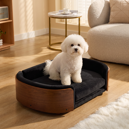 Nordic walnut dog sofa in black velvet with a fluffy white dog sitting on it in a living room